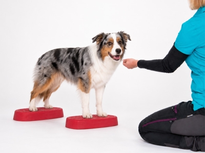 Aero-Step® One trainingsplatform
