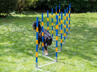 Professionele FCI Agility Slalom met scharnieren