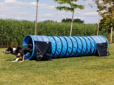 Agility Tunnel 3 meter Volledig Anti-Slip