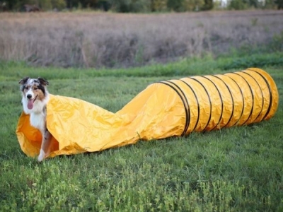 Agility Tunnel 3 meter incl. Slurf, recreatief gebruik