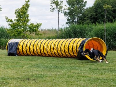 Agility Tunnel 5 meter Volledig Anti-Slip