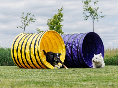 Agility Tunnel 4 meter diameter 80 cm