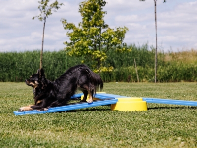 Build 'N Balance parcours Basisset 10-delig