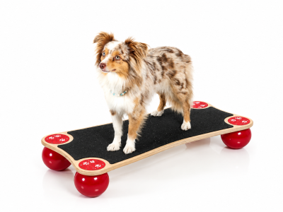 Dog Balance Step Medium, incl. anti-slip materiaal