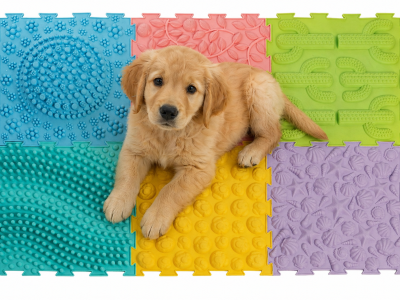 Sensorische massage puzzelmatten set 6-delig