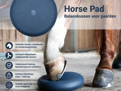 Horse Balance Pad – Balanskussen voor Paarden