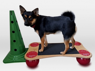 Dog Balance Step Mini, incl. anti-slip materiaal