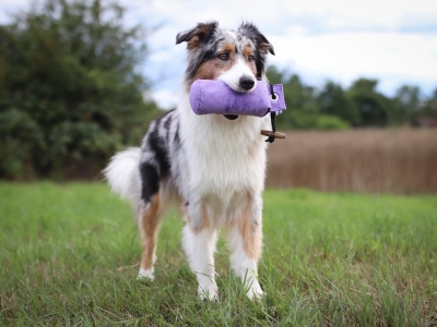 Dummy Canvas 150, 250 en 500 gram