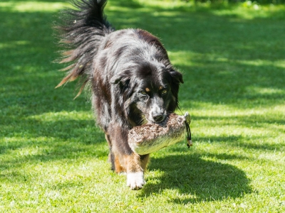 Dummy konijn kunstvacht, 250 en 500 gram