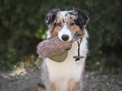 Dummy Eend kunstvacht 350 gram