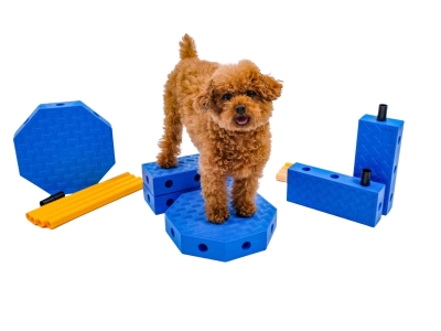 FitPaws FitKinect Core