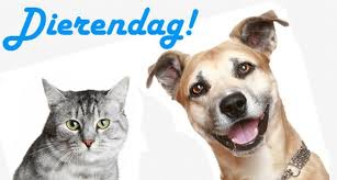 DIERENDAG ACTIE