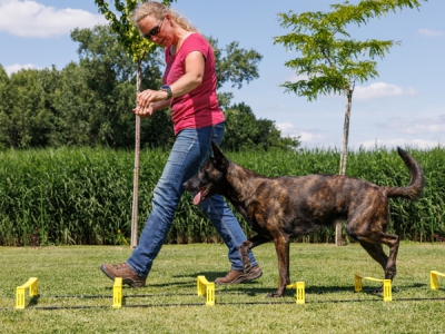 Loopladder in hoogte verstelbaar, 3.70 meter