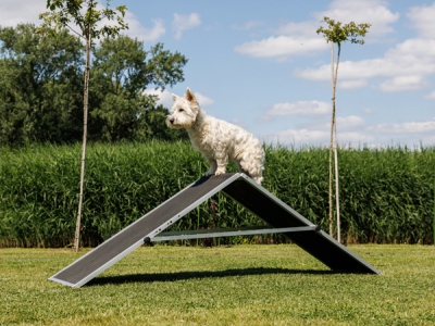 Mooffz Agility A- Schutting