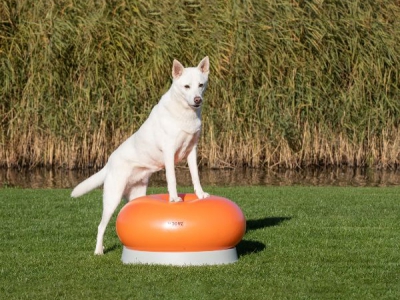 Mooffz O-Dog Donut met onderstel