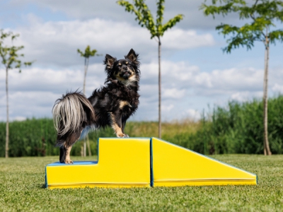 Mooffz Soft Play foamblokken set 2-delig, Trap en Helling Anti-Slip