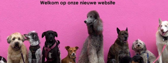 Welkom op onze nieuwe website