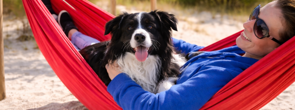 Ook dit jaar was er voor dierenliefhebbers weer veel gezelligheid in Hilvarenbeek