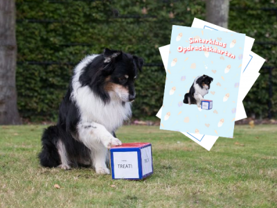 Opdrachten dobbelsteen