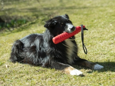 Trainingsdummy TPR, 27 cm, rood